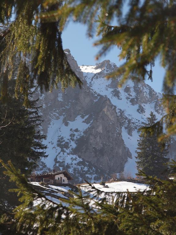 Апартаменты Alpenresidenz Chiemgau Шлехинг Экстерьер фото