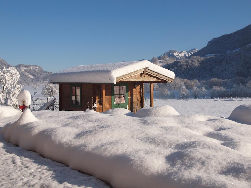 Апартаменты Alpenresidenz Chiemgau Шлехинг Экстерьер фото